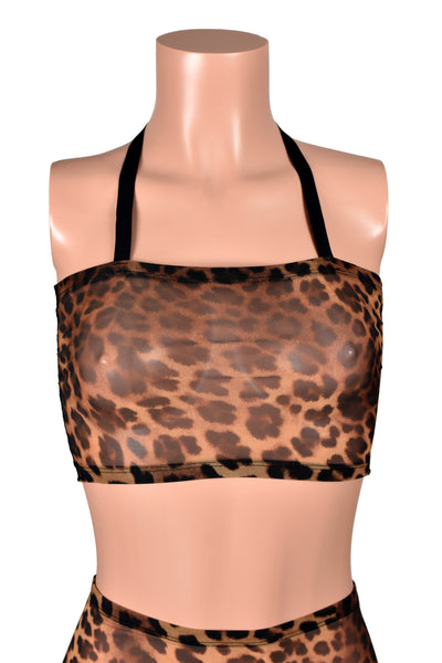 Leopard Mesh and Black Lace Bandeau Halter Top